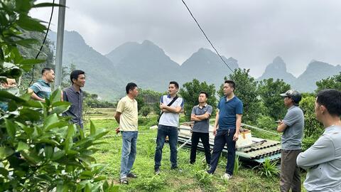 Tập huấn kỹ thuật mô hình quản lý sức khỏe cây trồng tổng hợp trên cây cam đường canh