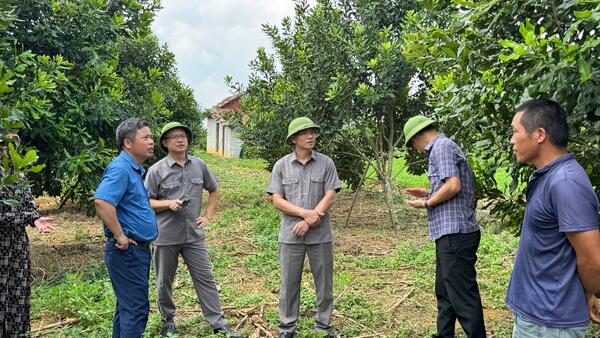 LÃNH ĐẠO XÃ BẰNG MẠC KIỂM TRA MÔ HÌNH TRỒNG LẠC, PHÁT TRIỂN KINH TẾ VÀ CÔNG TRÌNH THOÁT NƯỚC