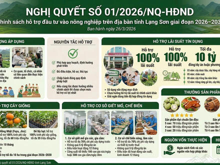 Chính sách mới có hiệu lực