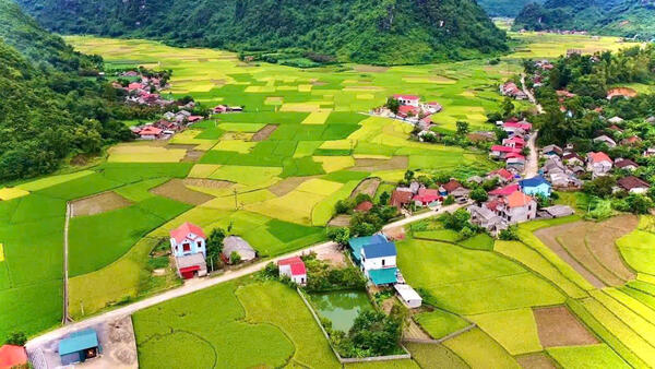 HÃY HÀNH ĐỘNG – VÌ MỘT BẰNG MẠC XANH, SẠCH, ĐẸP  VÀ ĐÁNG SỐNG!