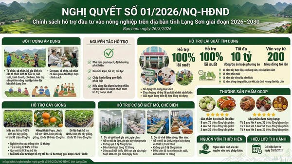 NGHỊ QUYẾT Về một số chính sách hỗ trợ đầu tư vào nông nghiệp trên địa bàn tỉnh Lạng Sơn giai đoạn 2026 - 2030.