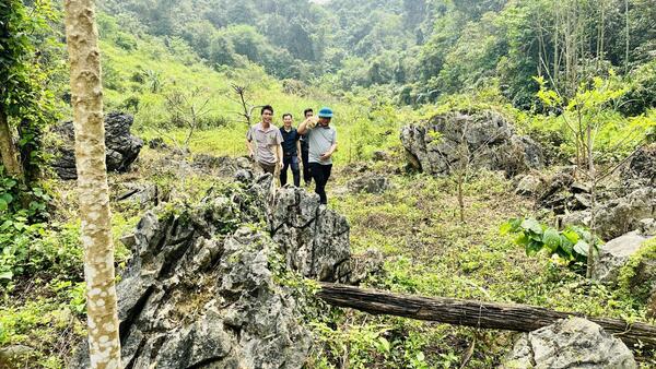 Lãnh đạo xã Bằng Mạc kiểm tra, khảo sát phát triển cây na